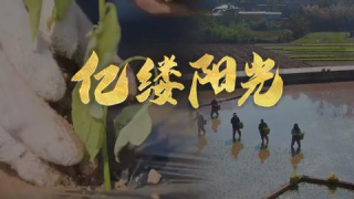亿缕阳光丨人勤春来早